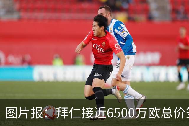 图片报：拜仁接近6500万欧总价签布朗基本达协议 有望几天内敲定